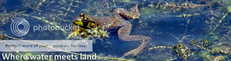 external image banner6_2.jpg