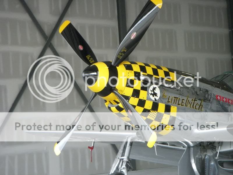 http://i995.photobucket.com/albums/af80/tomagc/P51NOSE-1.jpg
