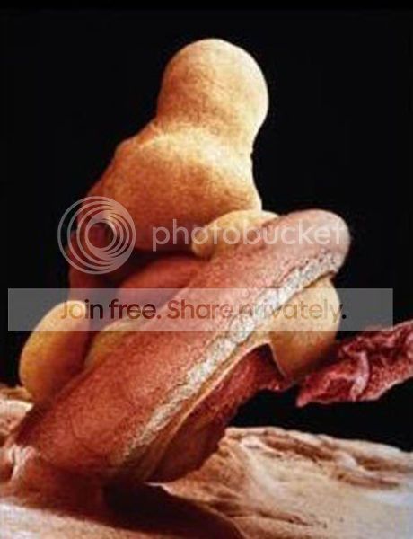 13_zps7b636f82.jpg