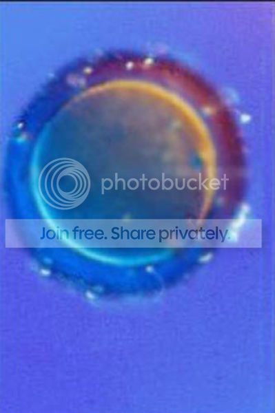 2_zps7e7077b1.jpg